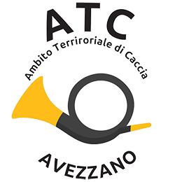 ATC AVEZZANO